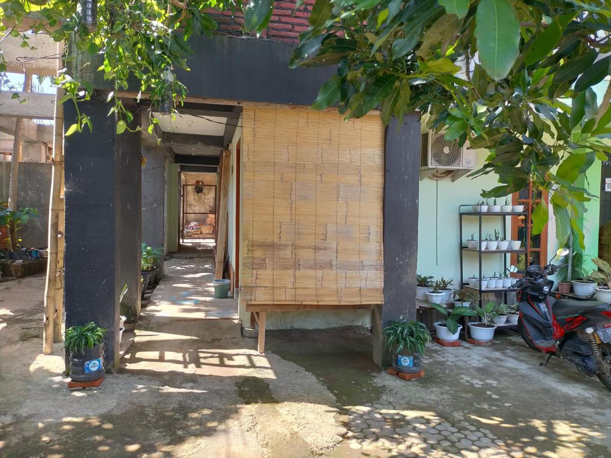Cheap Inn Banyuwangi بانيووانجى المظهر الخارجي الصورة