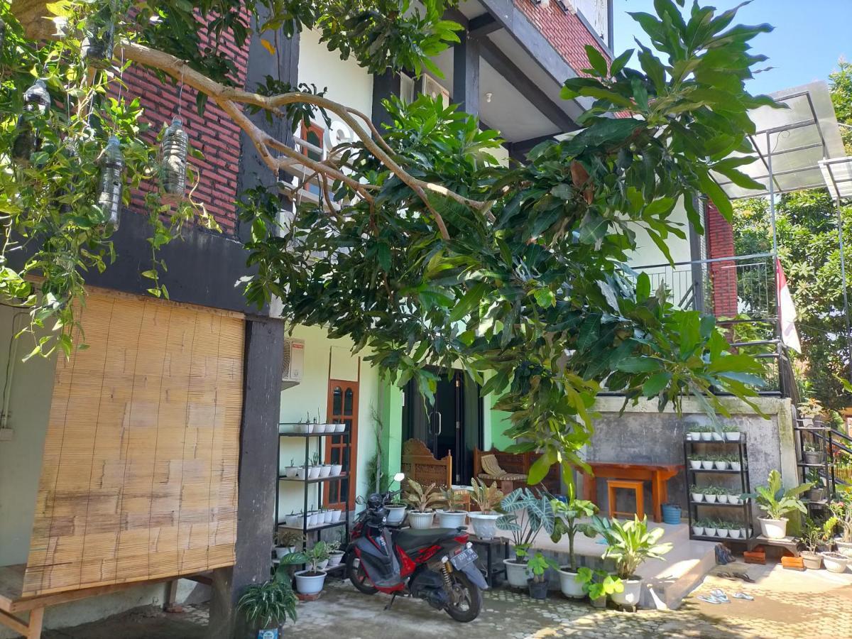 Cheap Inn Banyuwangi بانيووانجى المظهر الخارجي الصورة