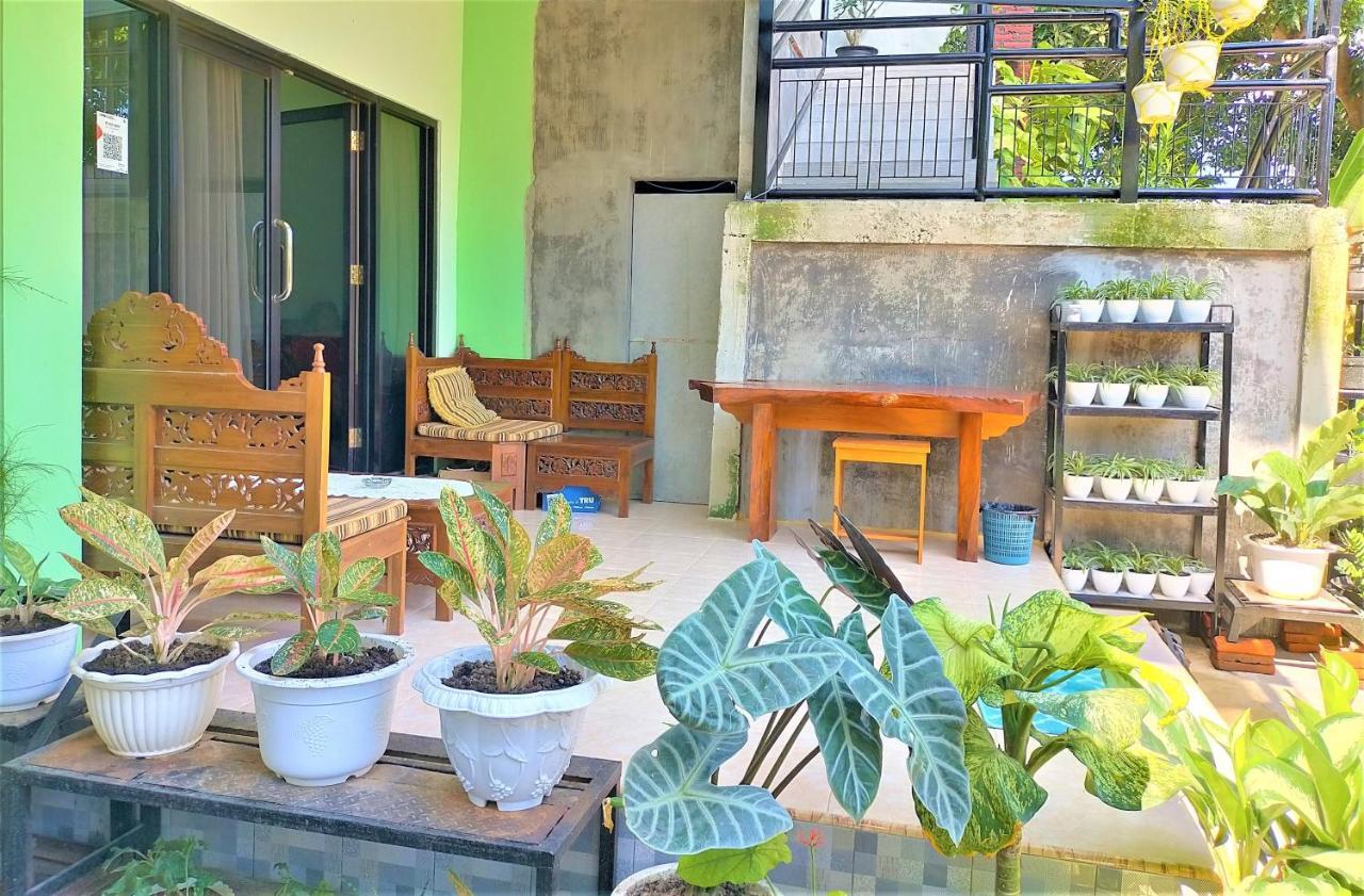 Cheap Inn Banyuwangi بانيووانجى المظهر الخارجي الصورة